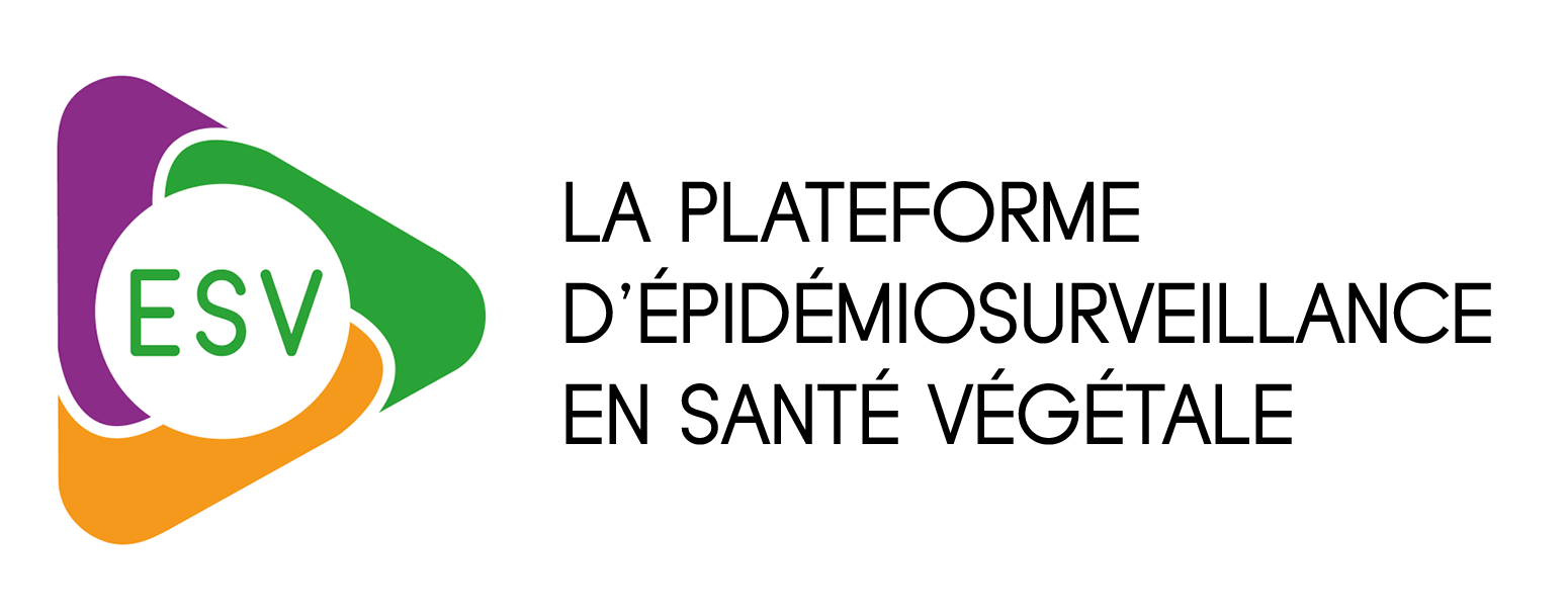 Enquête sur les productions du groupe de travail de la VSI de la Plateforme ESV