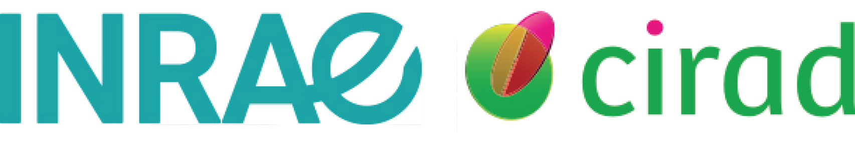 Martinique - Enquête comportements alimentaires des étudiants